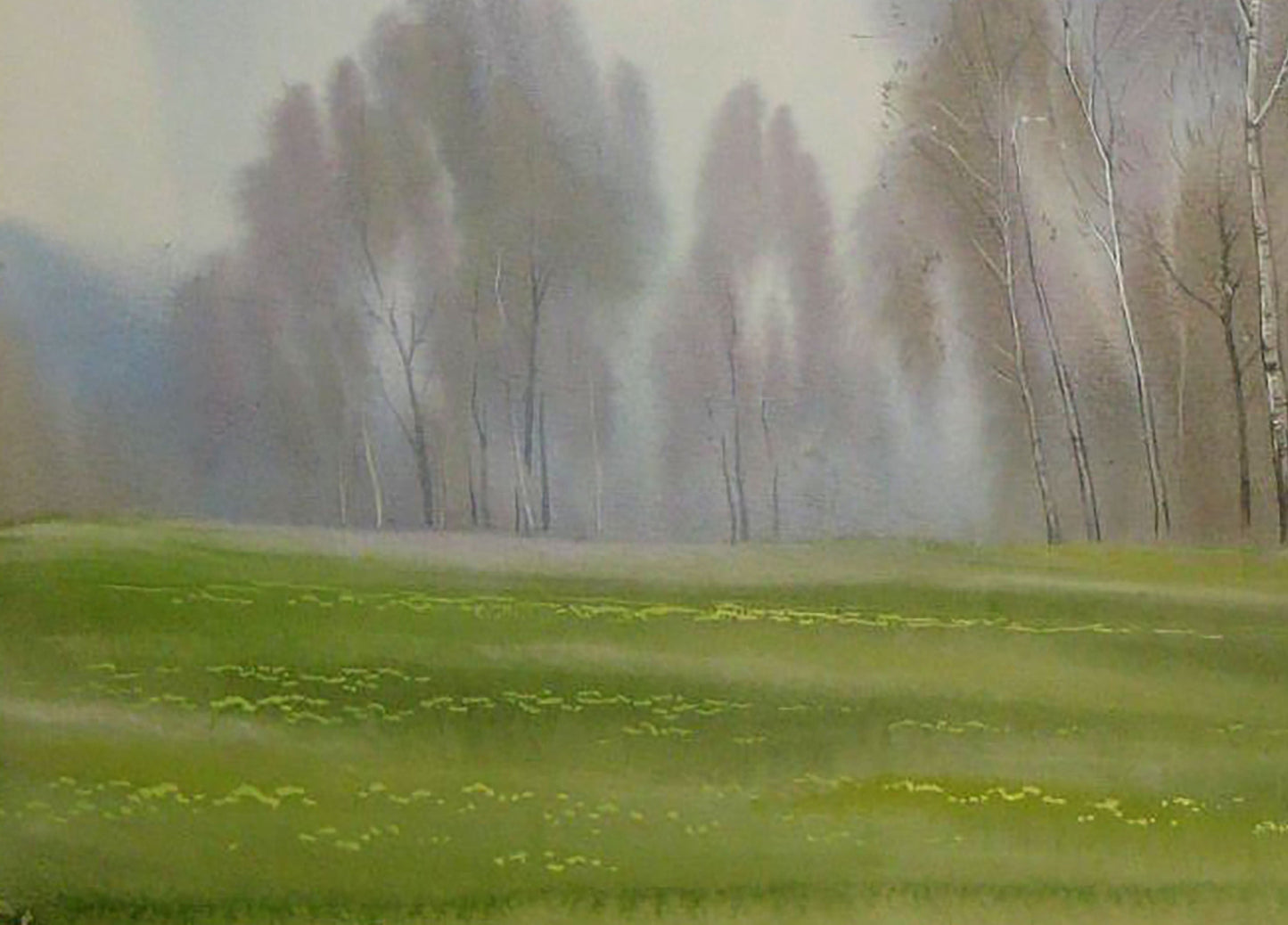 Spring Forest landscape