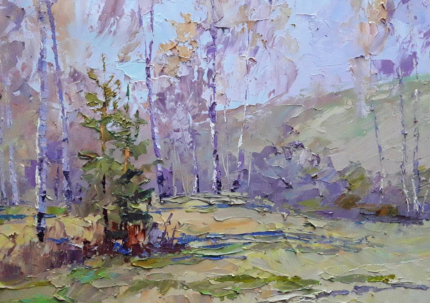 forest Landscape