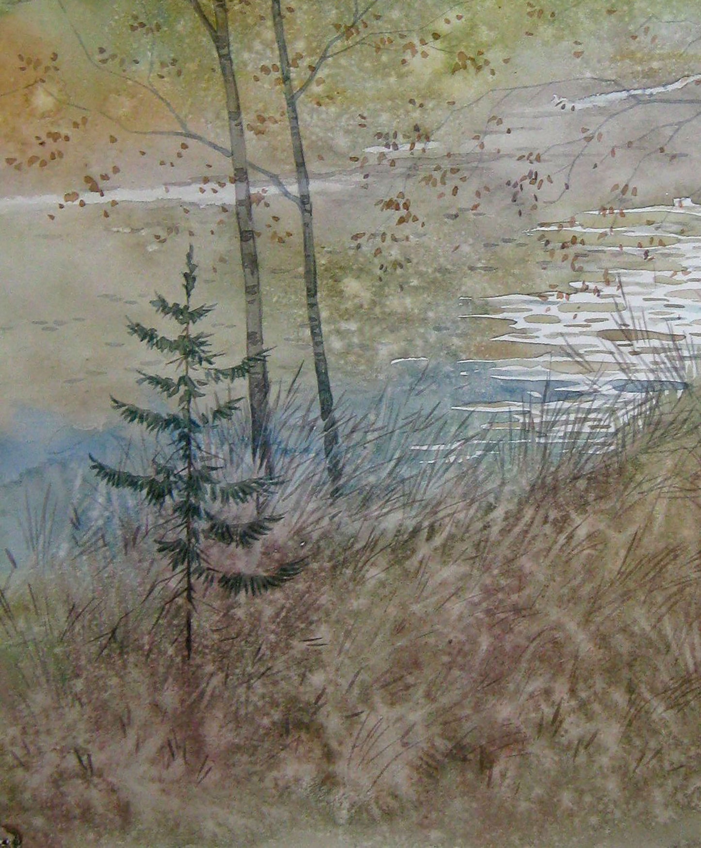 Autumn River Nature Landscape