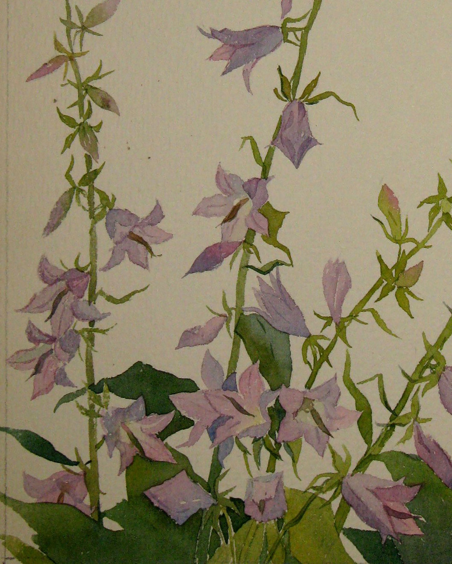 Bouquet of Flowers