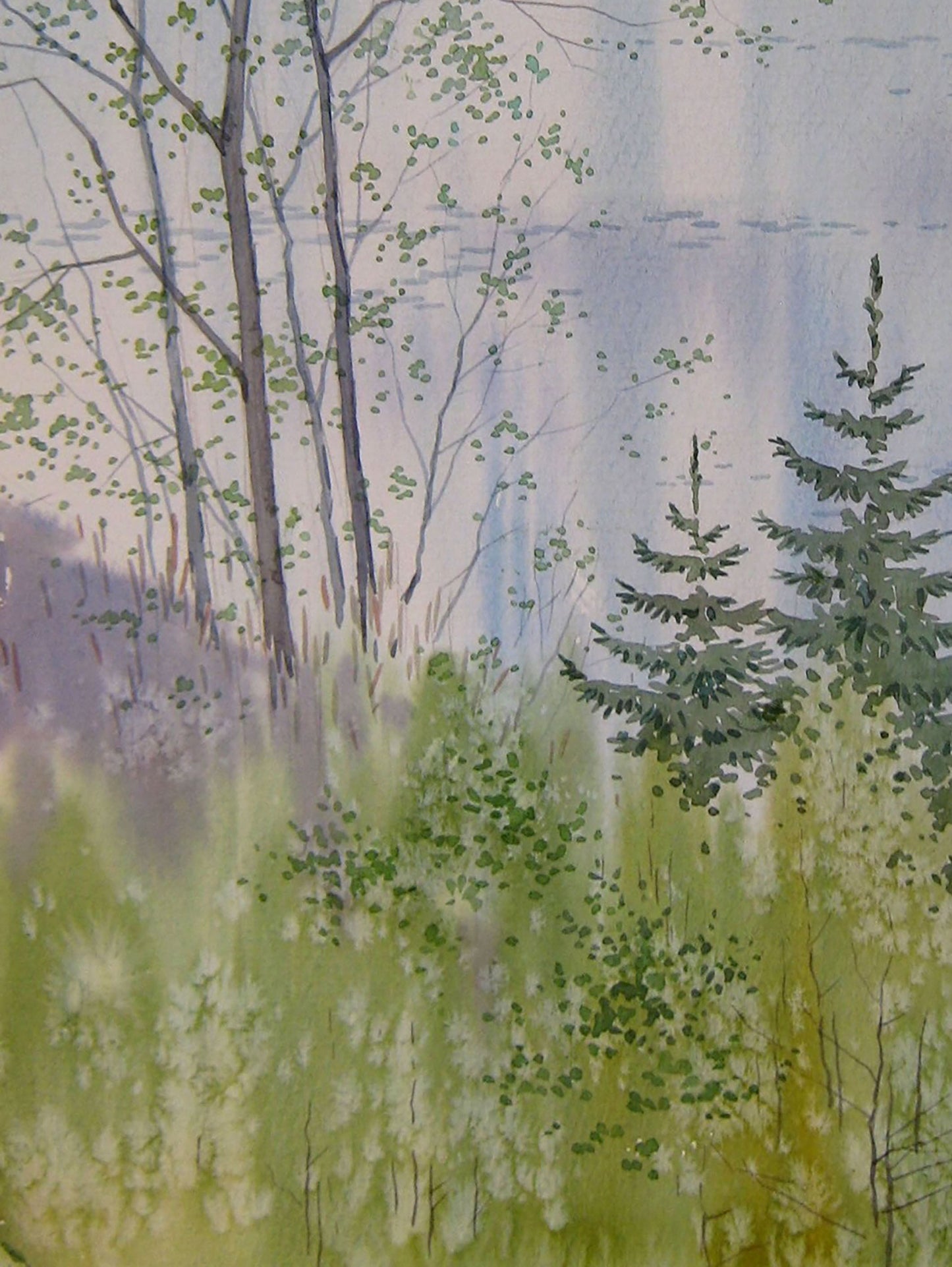 Spring River Nature Landscape