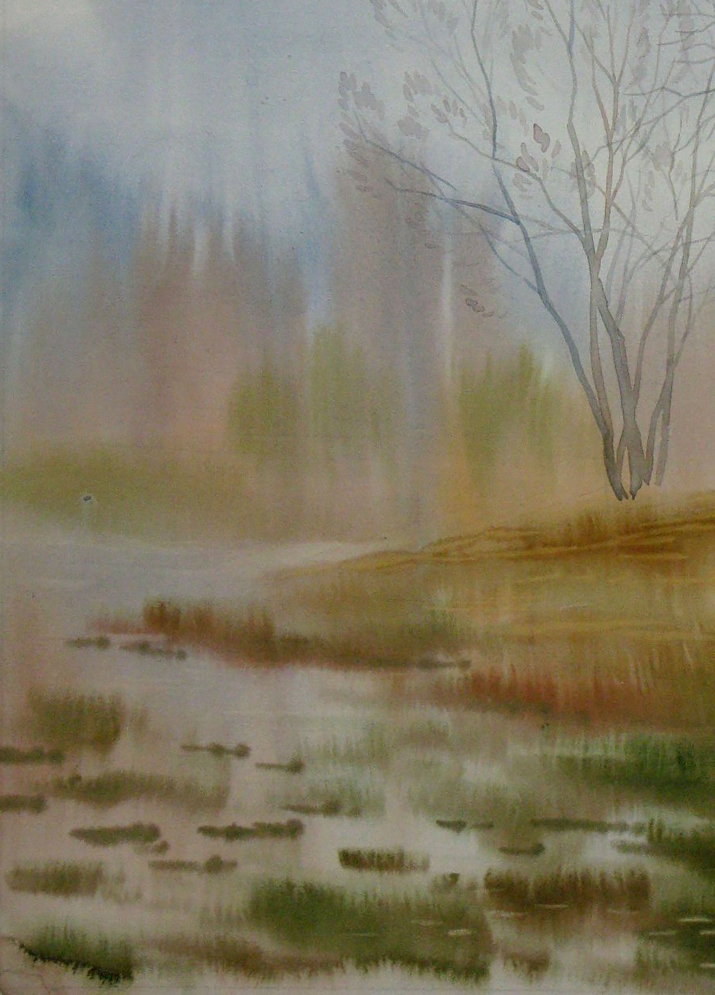 Autumn Forest landscape
