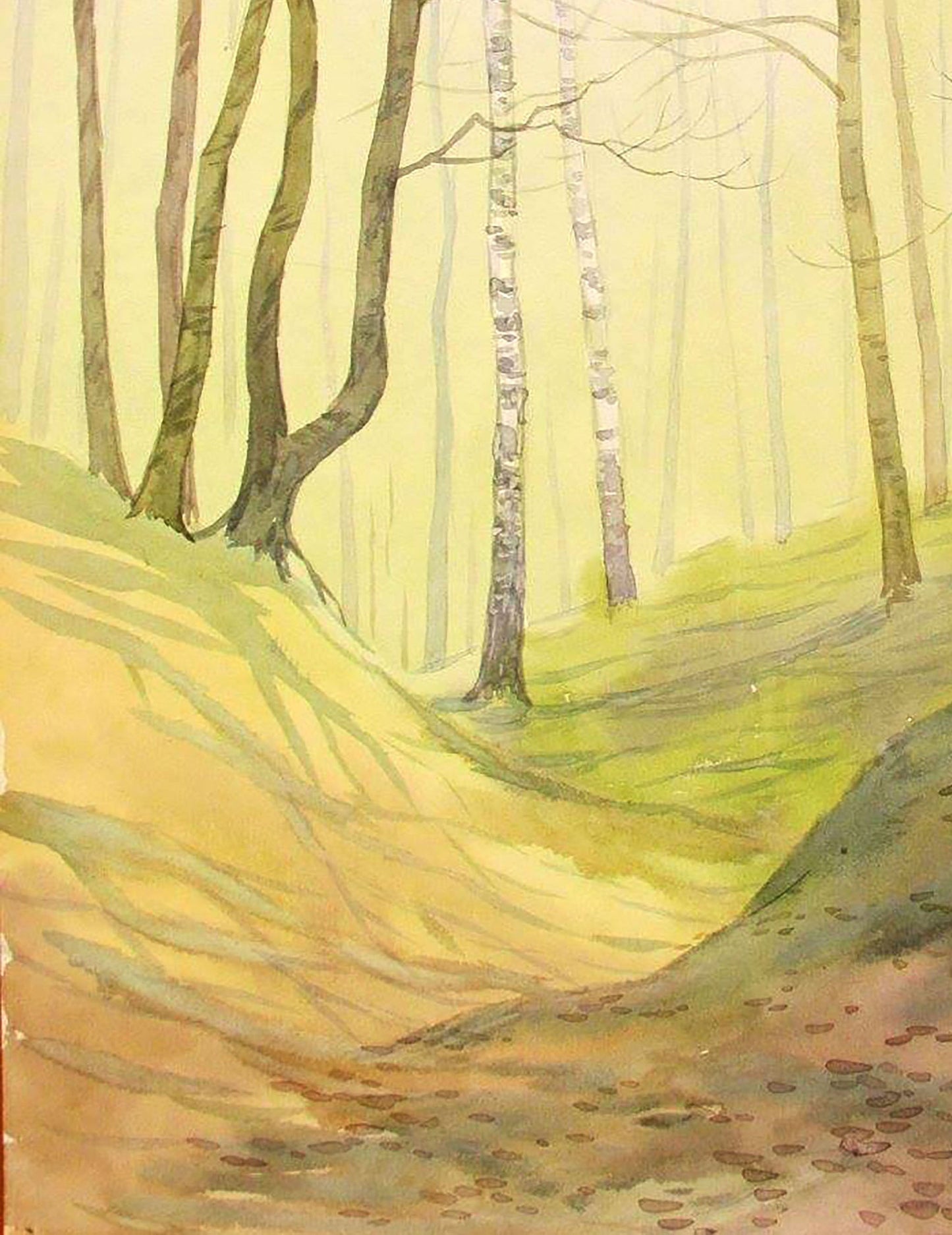 Spring Forest landscape