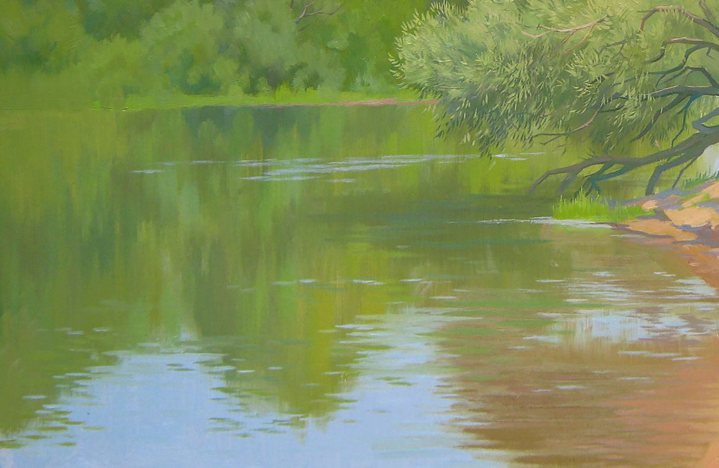 Summer Forest