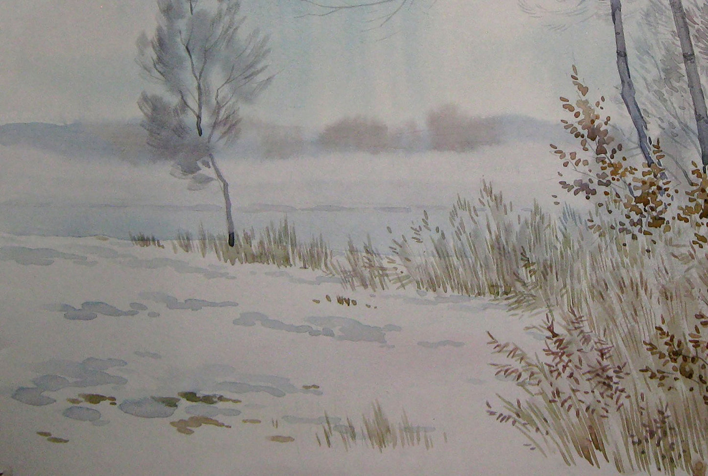 Winter countryside