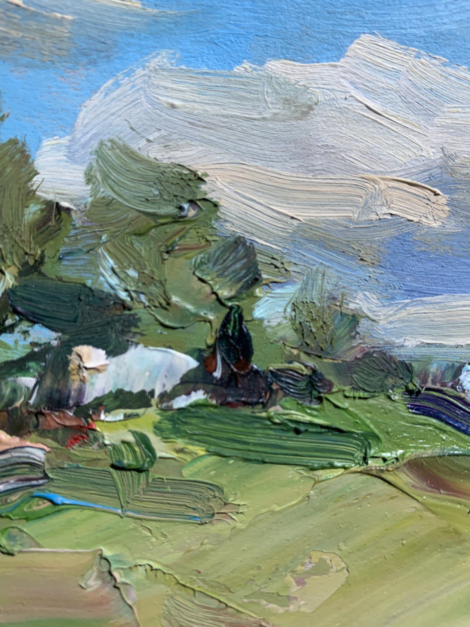 Oil Painting Spring Village landscape