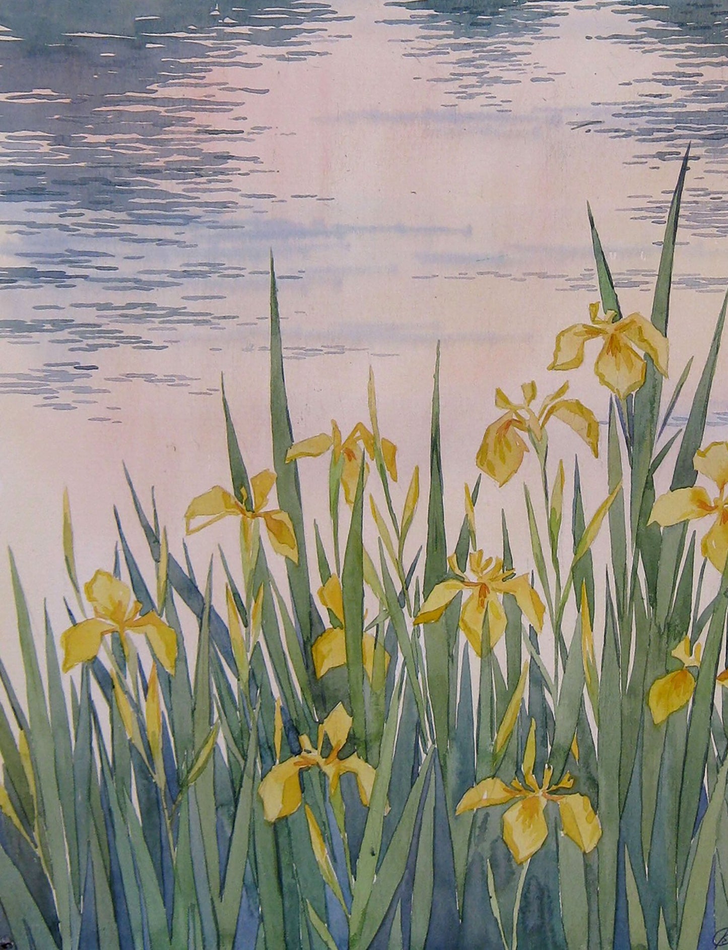 River Nature Landscape