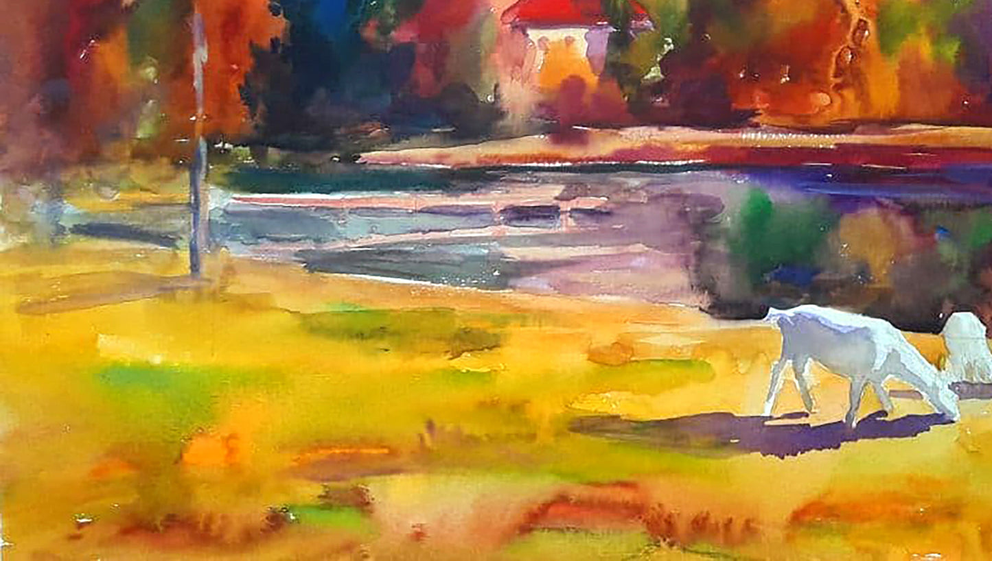 Nature Landscape