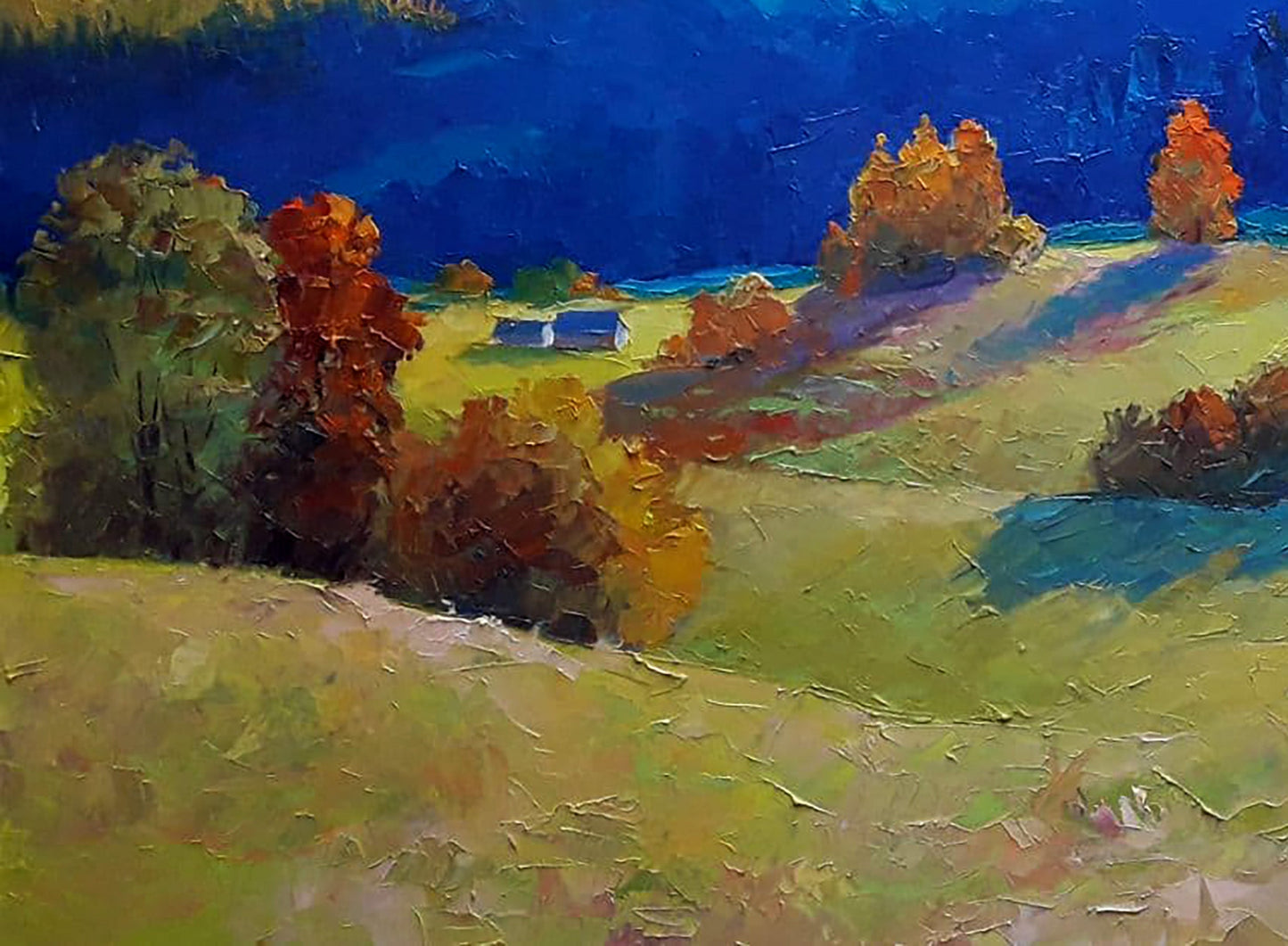 Oil painting Sunny meadows Serdyuk Boris Petrovich