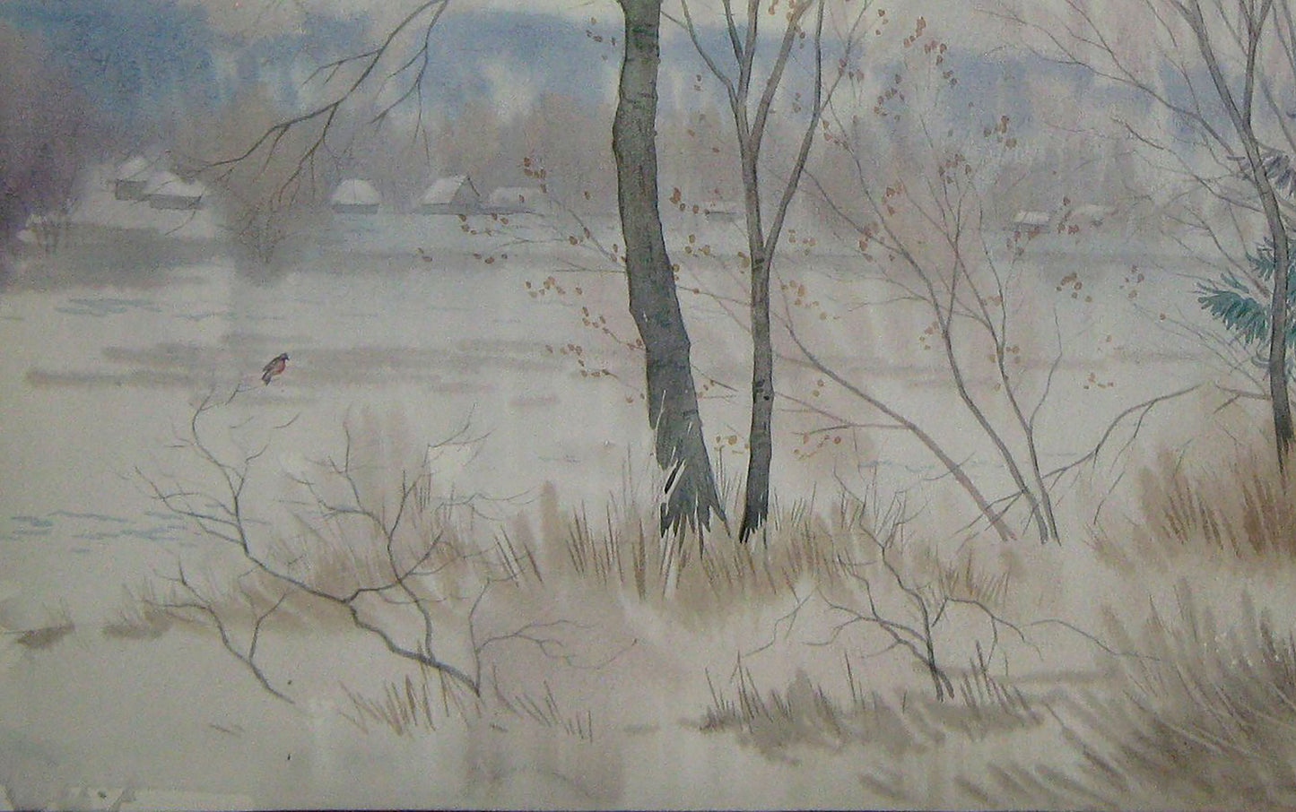 Winter Rural landscape