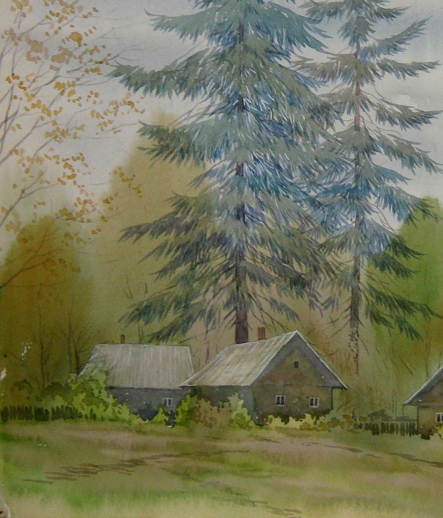 Watercolor painting Nature Forest landscape