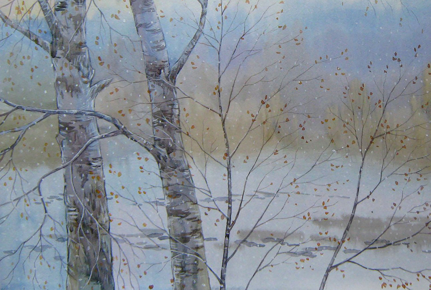 Winter Forest landscape
