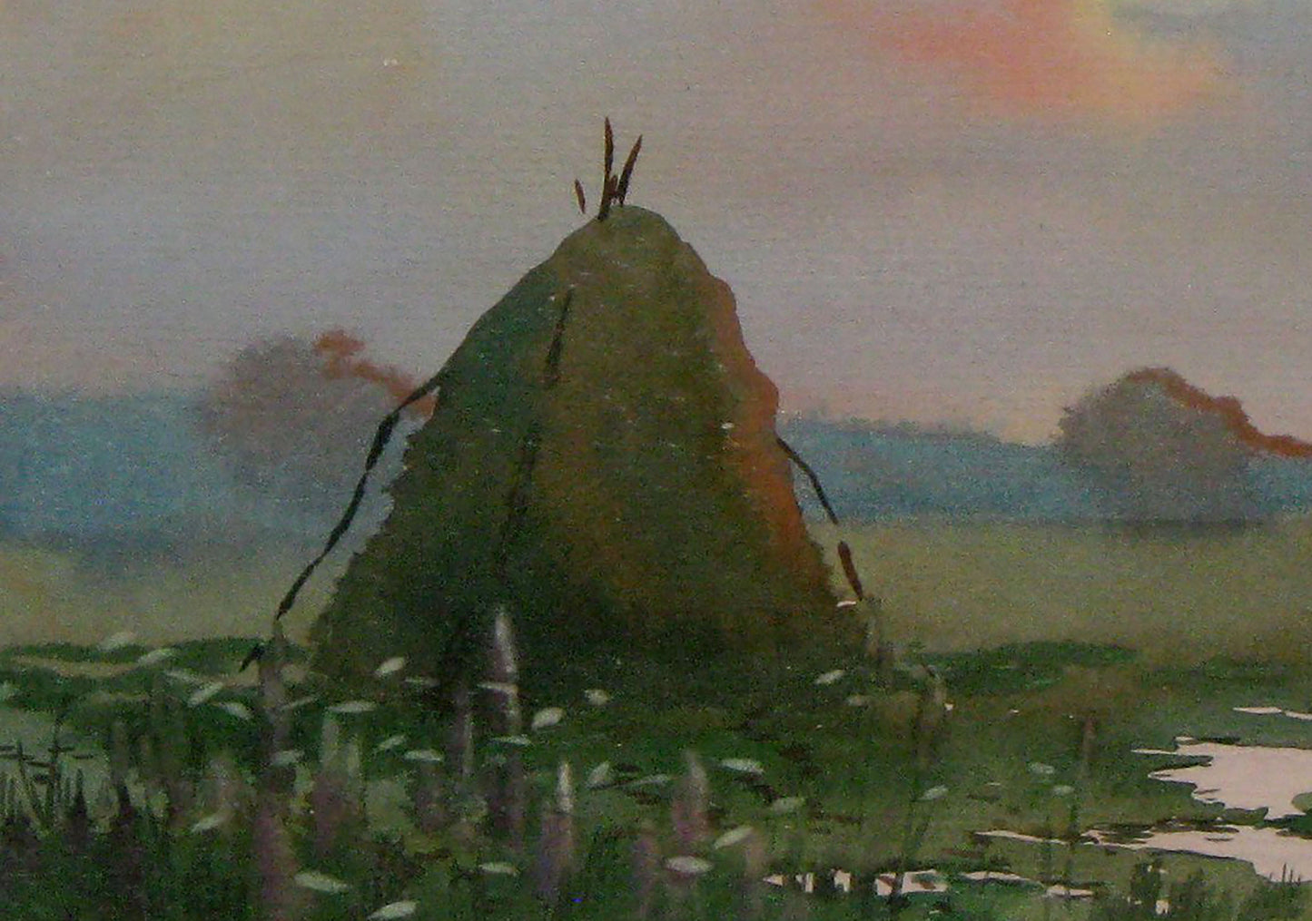 Evening rural landscape