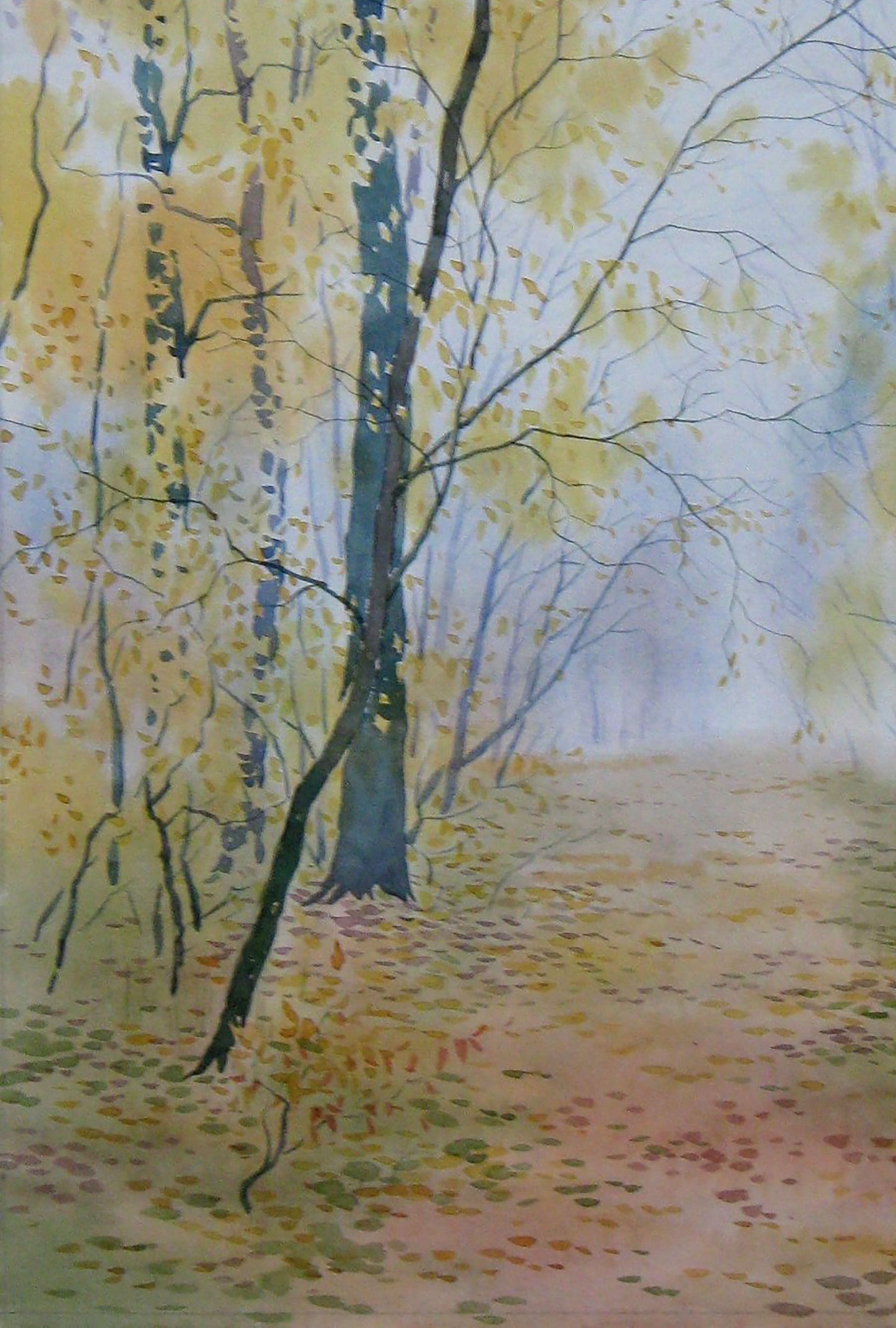 Autumn Forest Nature Landscape