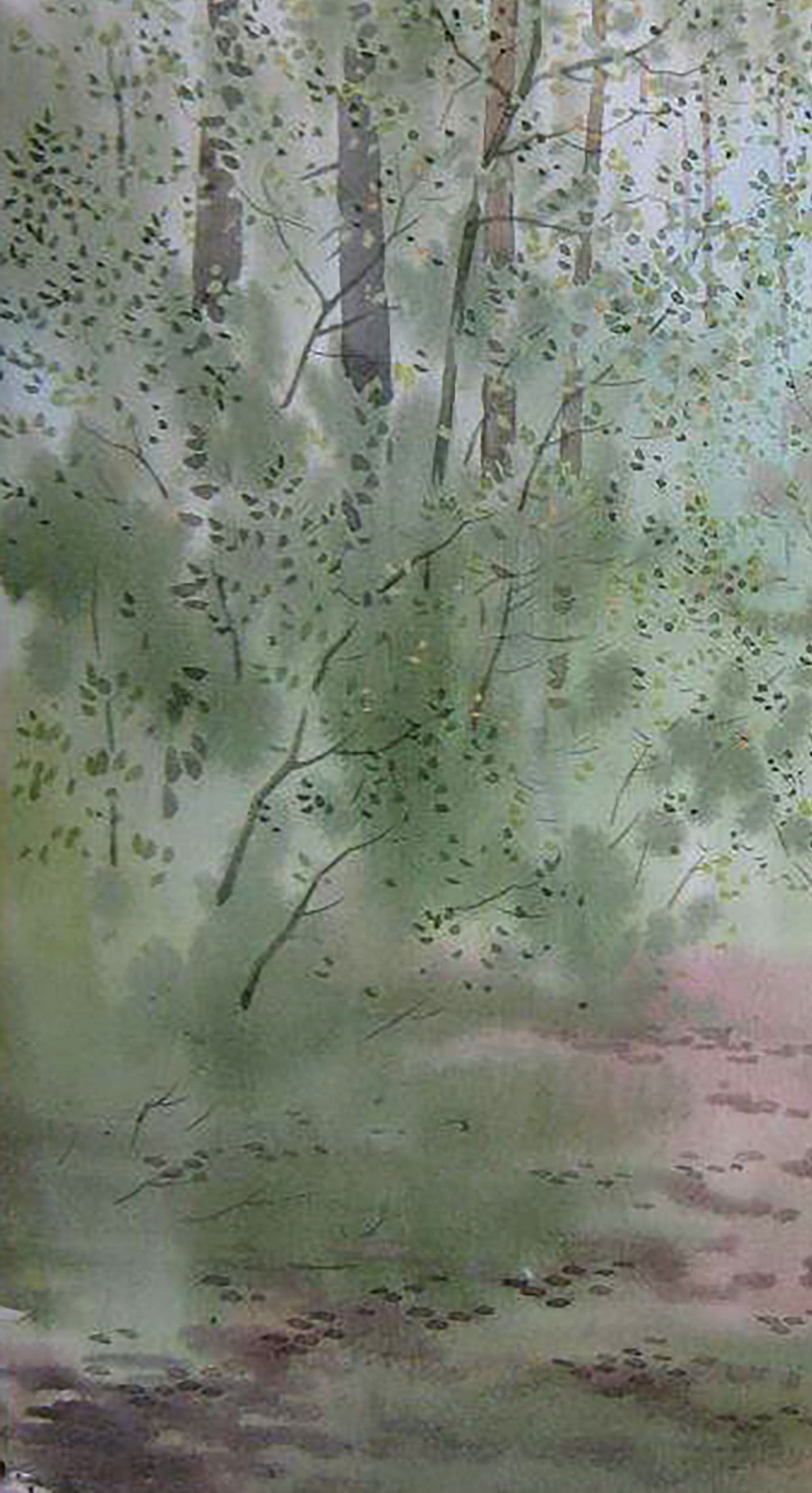 Spring Forest Nature Landscape