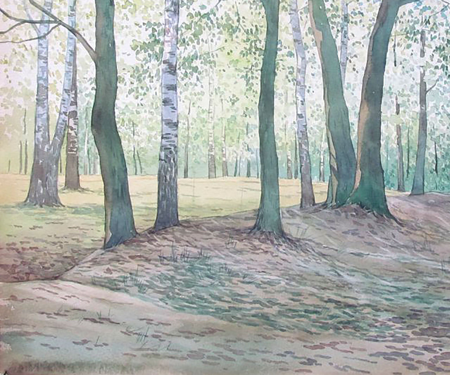 Spring Forest landscape