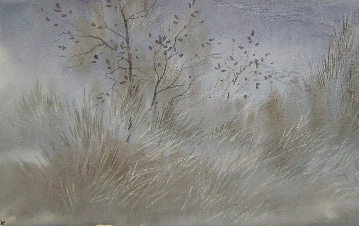 Evening rural landscape