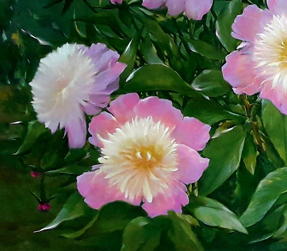 Oil painting peoniesKorkishko Vasily