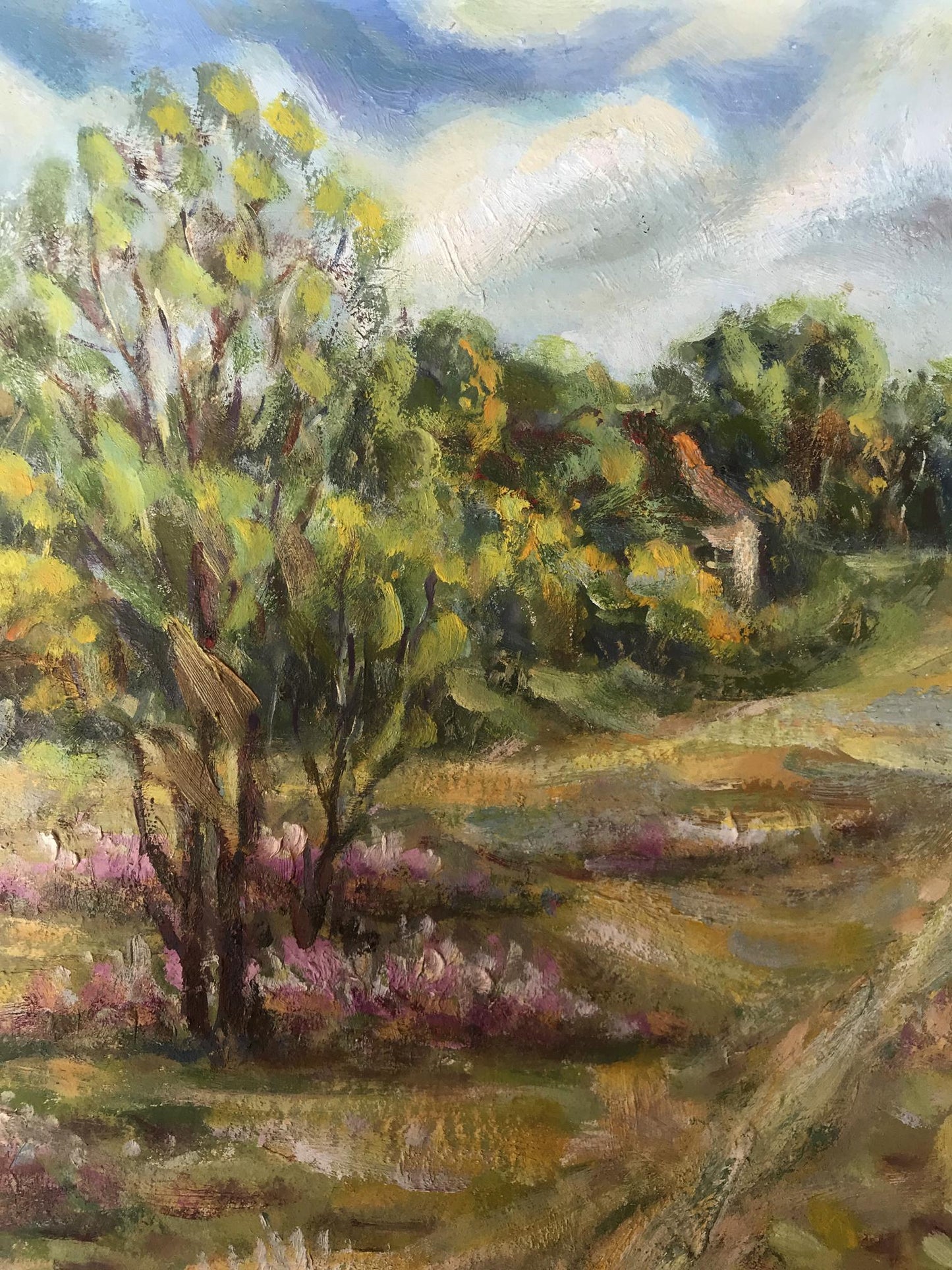 Village landscape