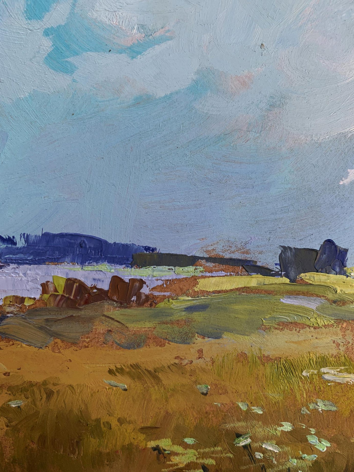 OIl painting Summer yellow field Yuriy Suprunchuk