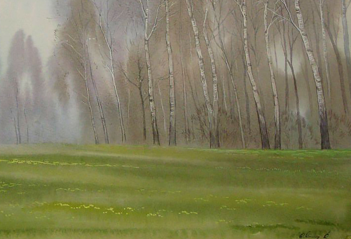Forest landscape Artwork for Sale