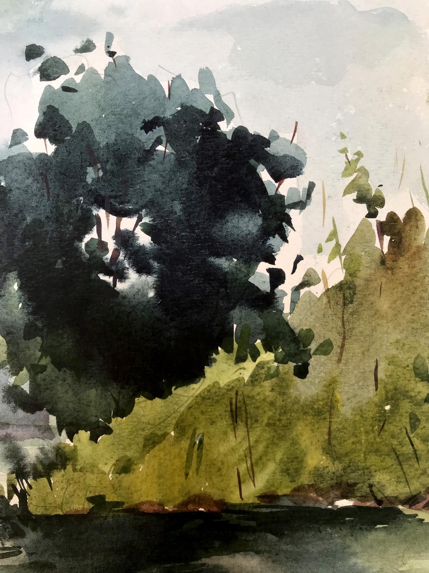 Watercolor painting On the shore in the forest Litvinov Oleg Arkad'yevich