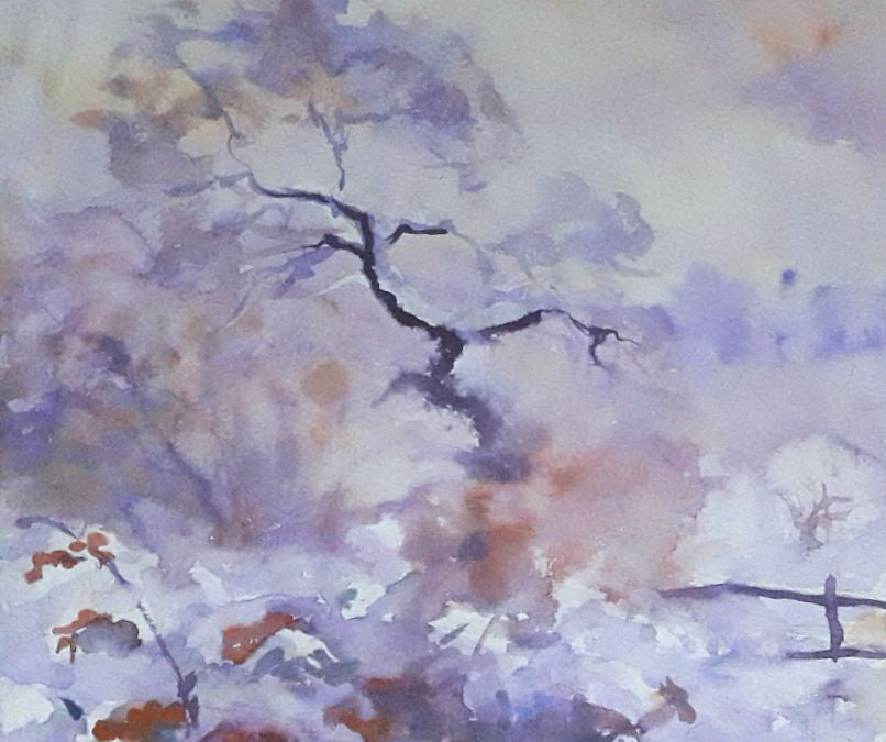 Winter Nature Landscape