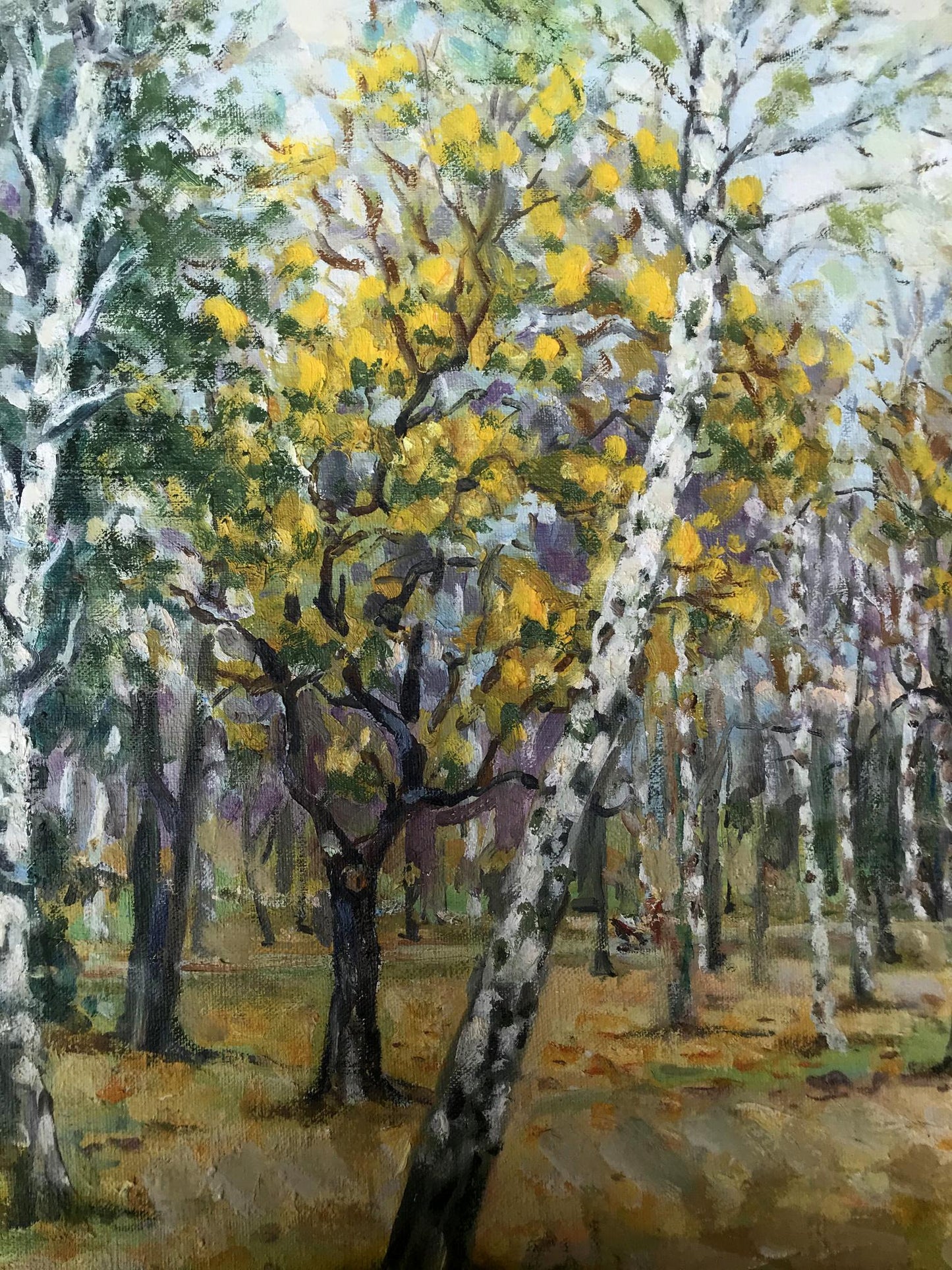 Oil Painting Autumn Nature Landscape