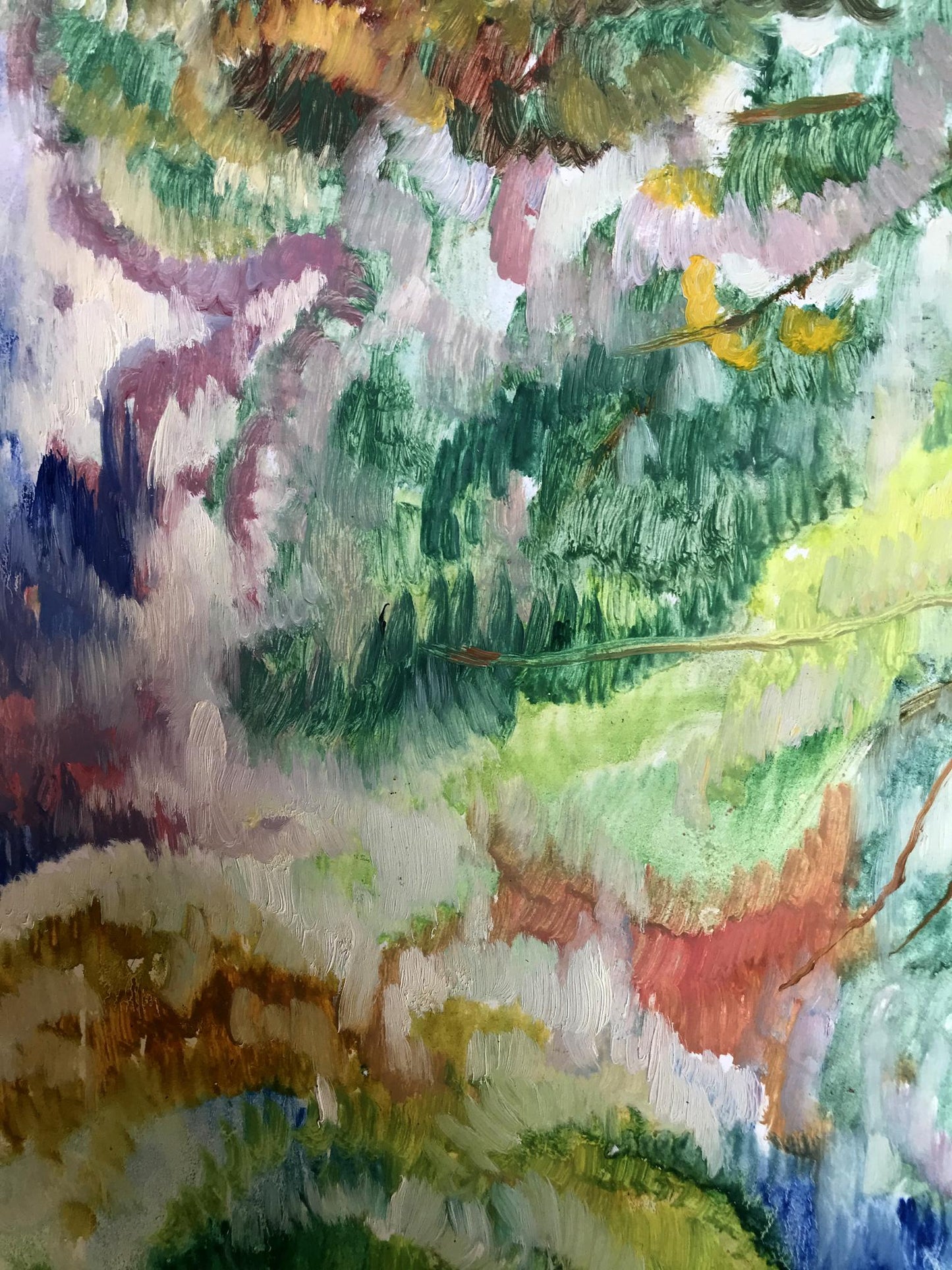 Nature Landscape