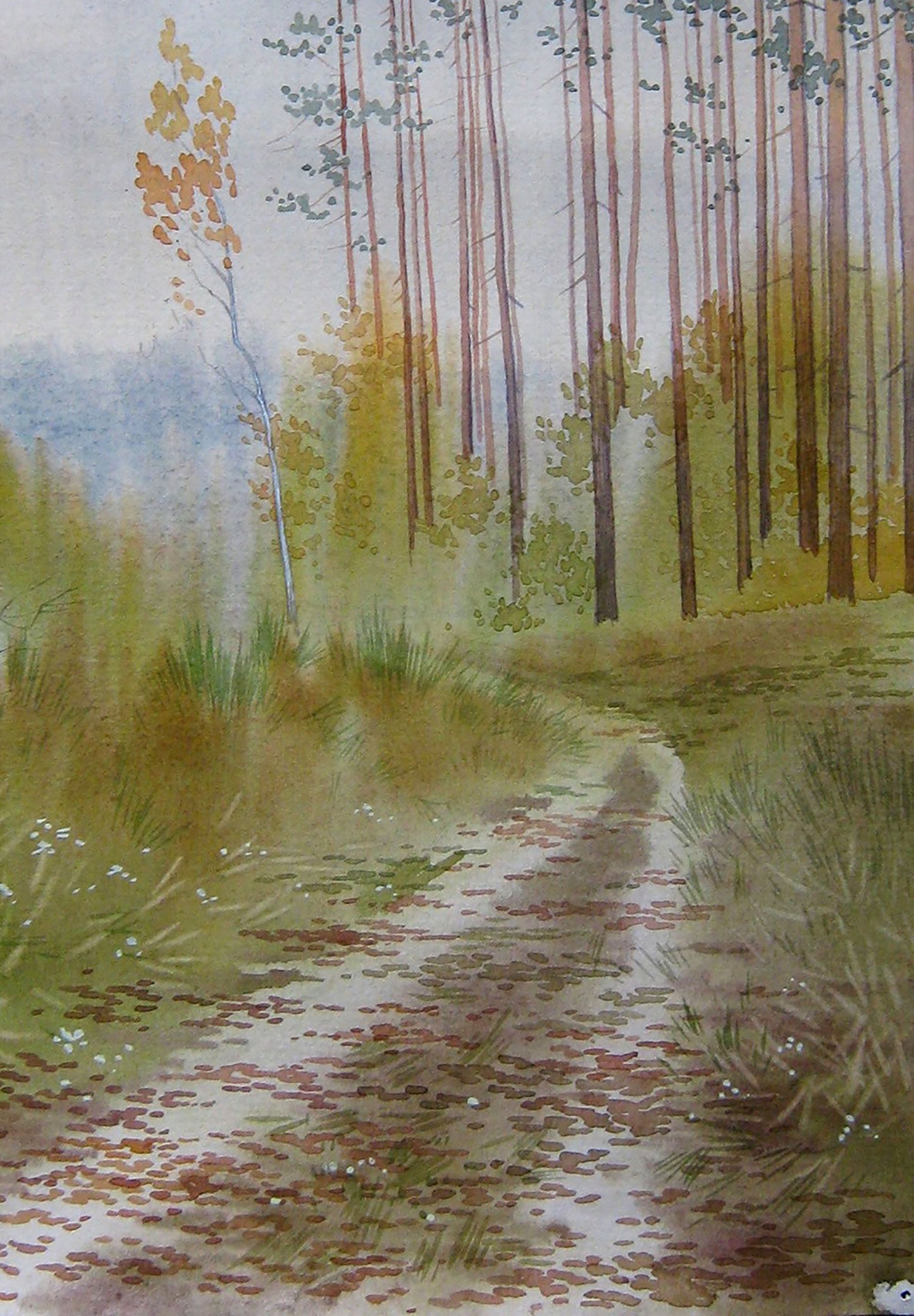 Buy painting