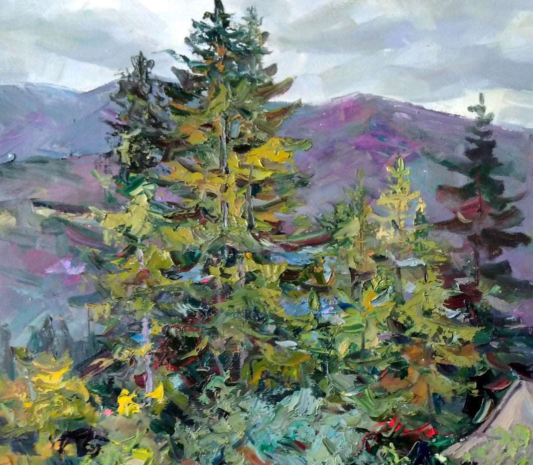 Mountain Forest landscape
