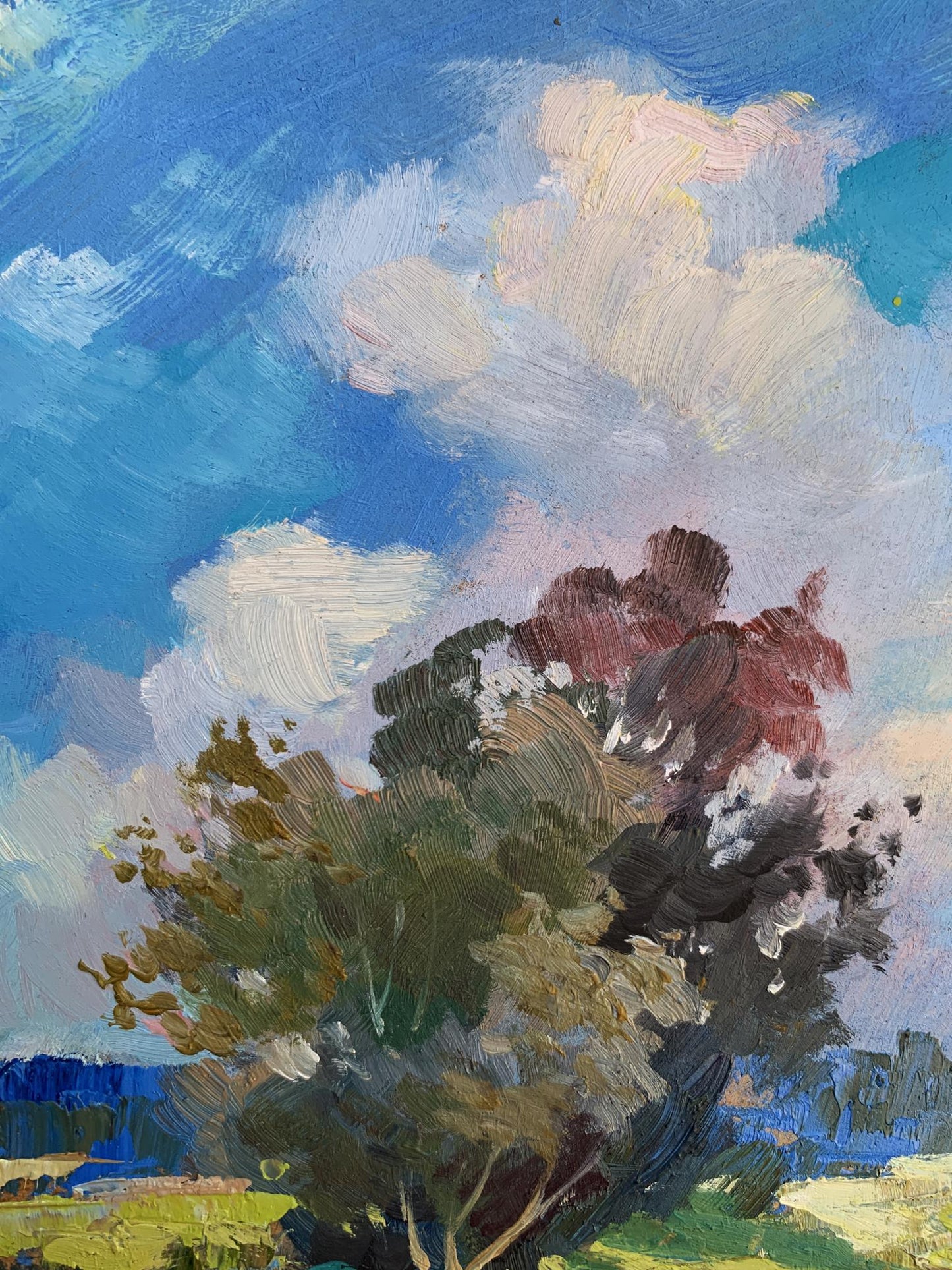 OIl painting Memory of a place in nature Yuriy Suprunchuk
