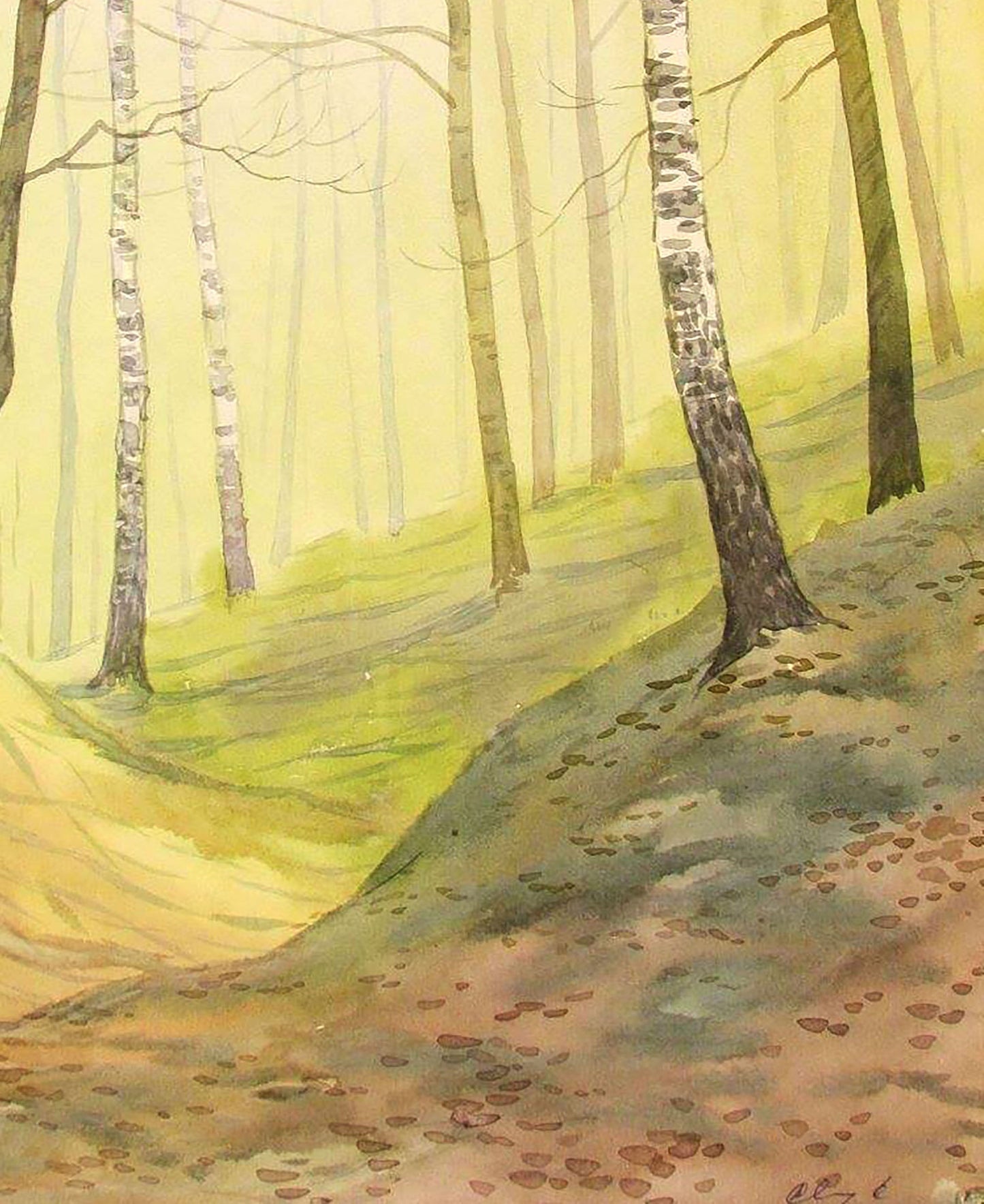 Forest landscape Buy painting