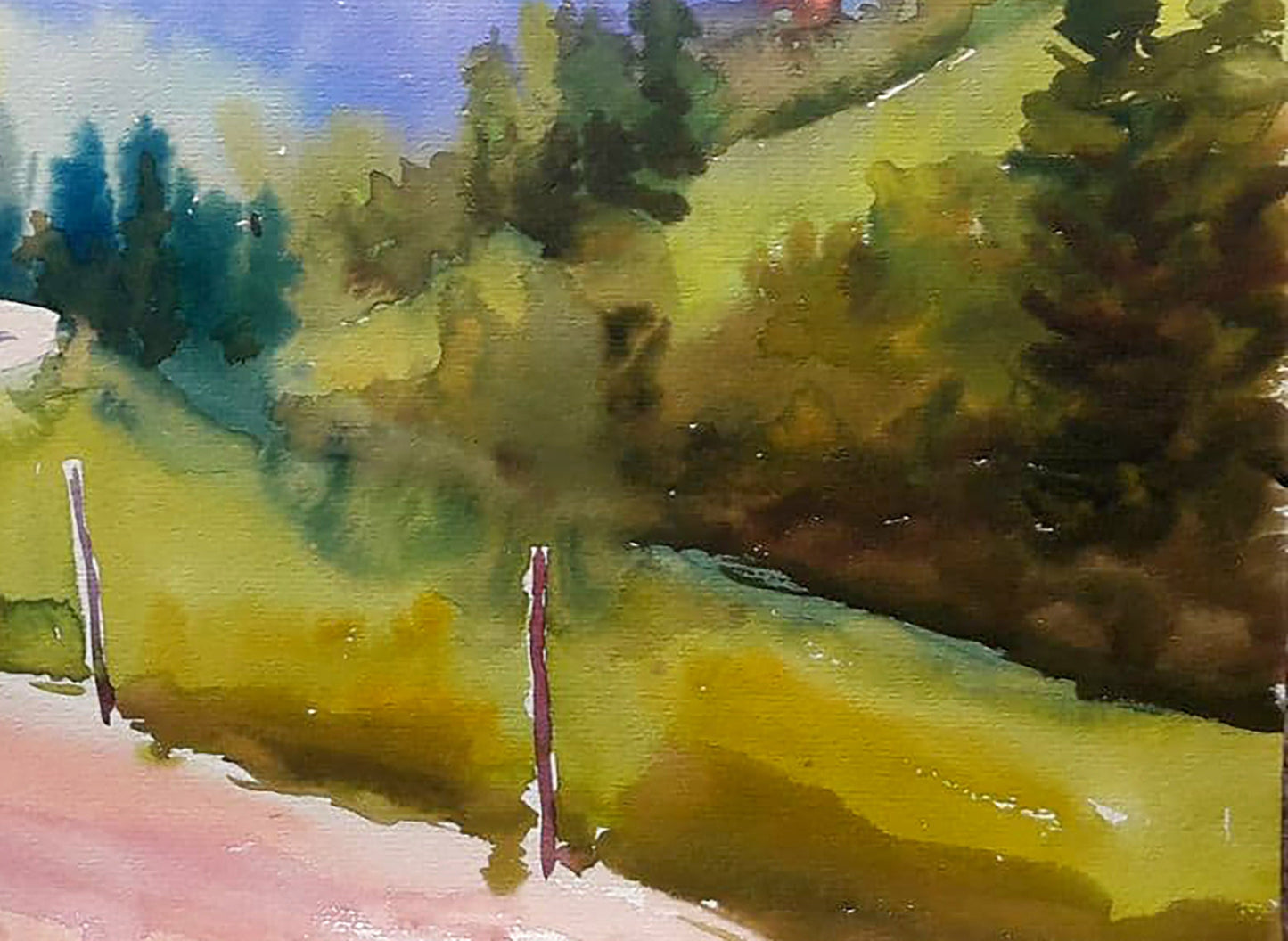 Rural landscape