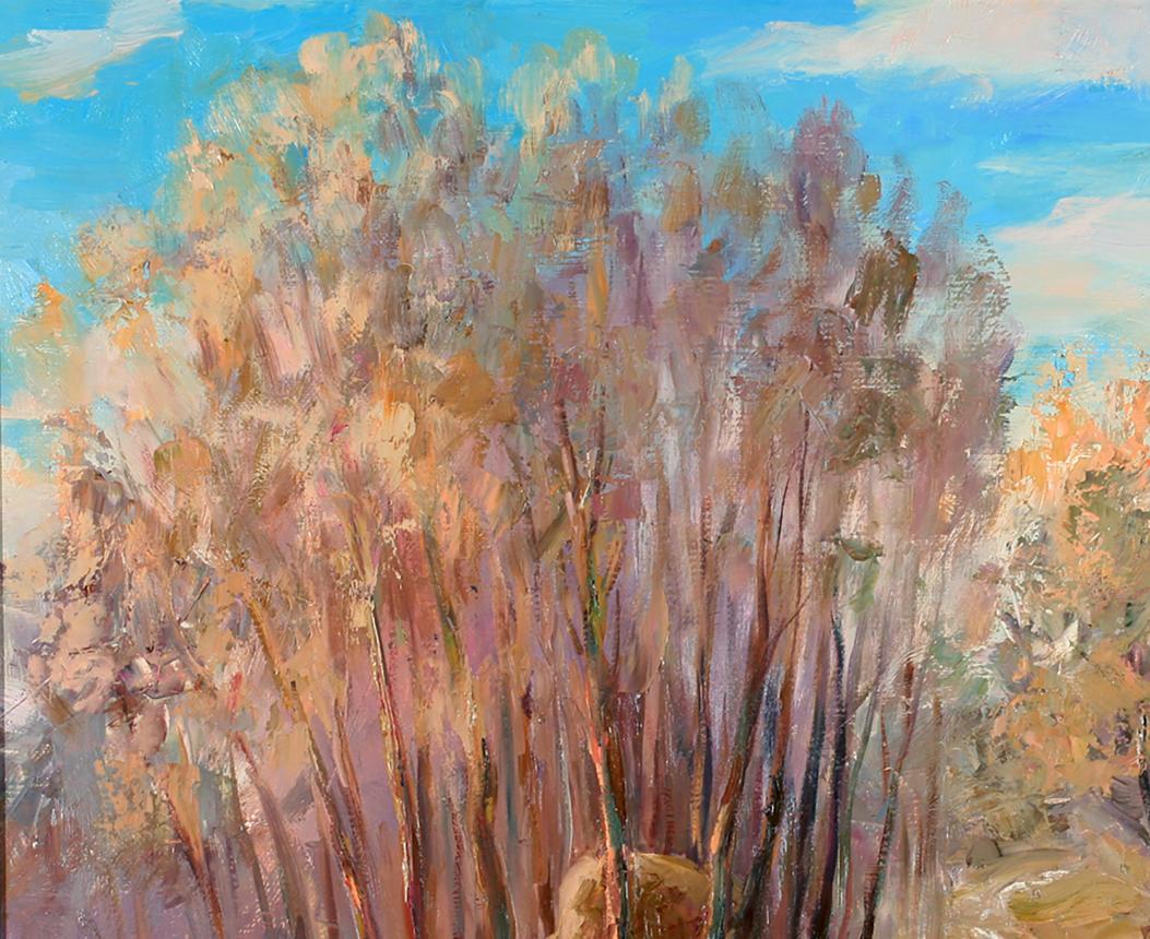 Nature Landscape