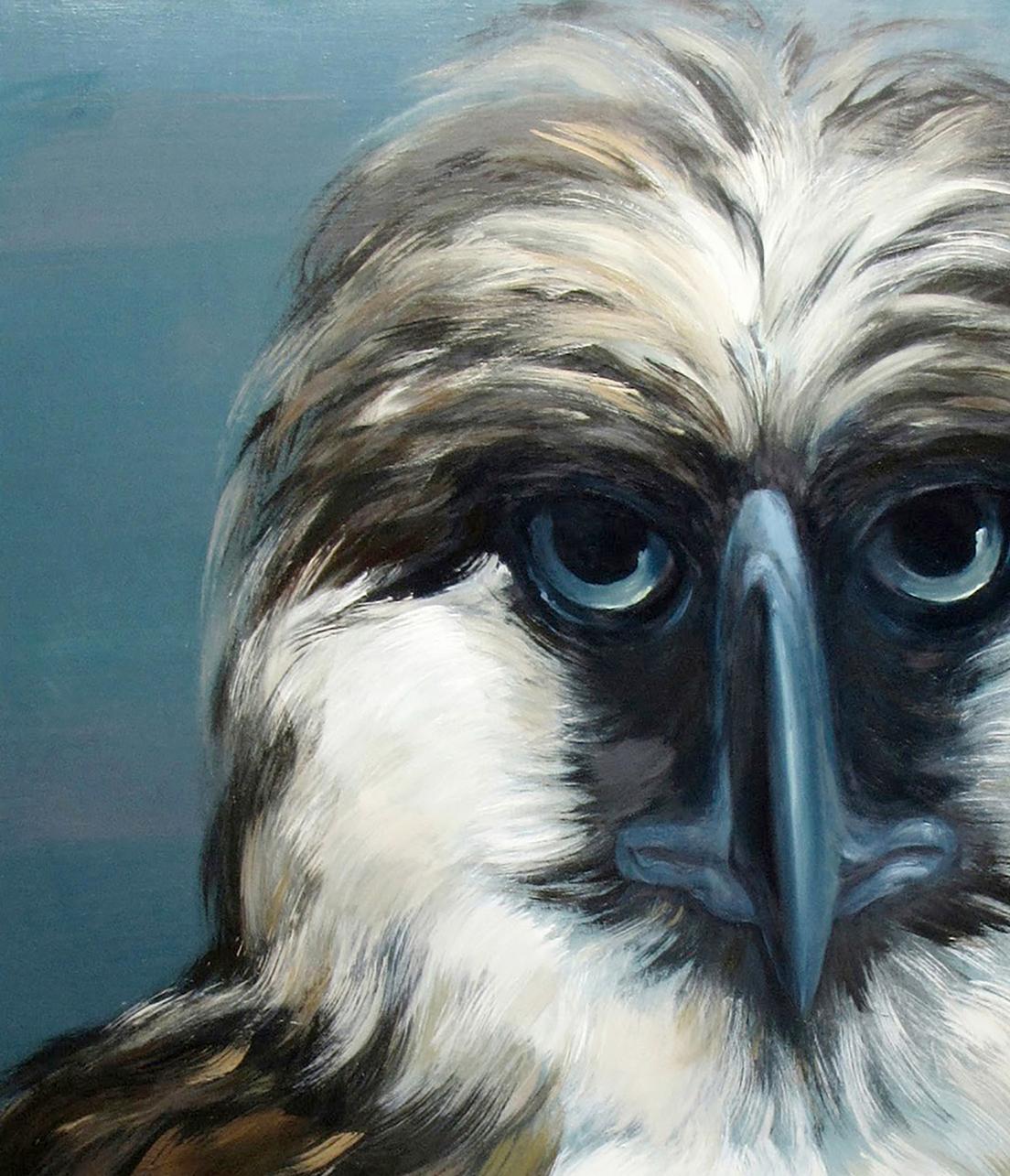 Animals Portrait