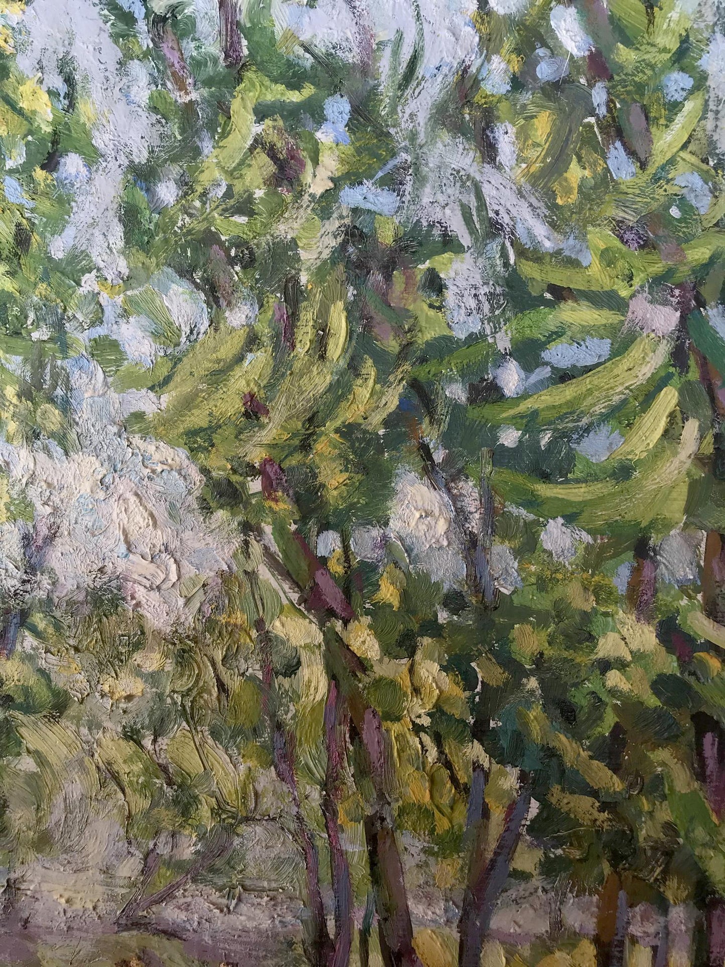Oil Painting Park Nature Landscape