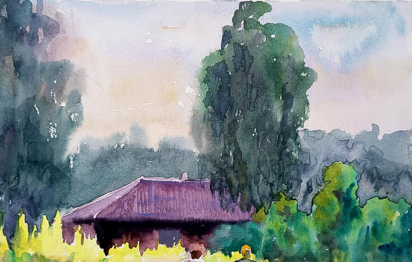 Nature Landscape