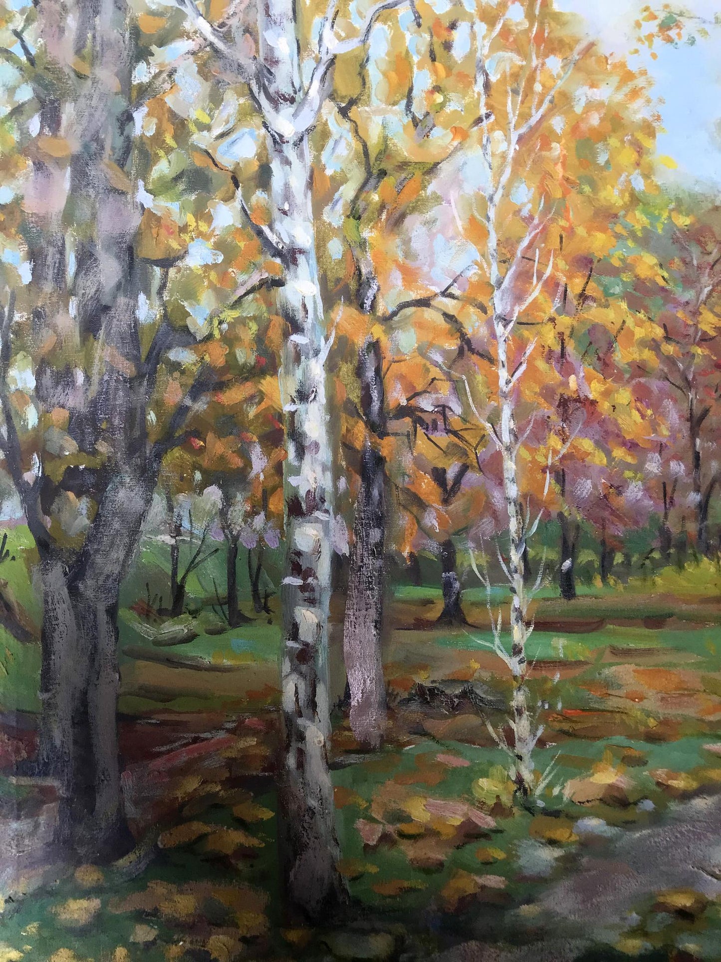 landscape autumn buy