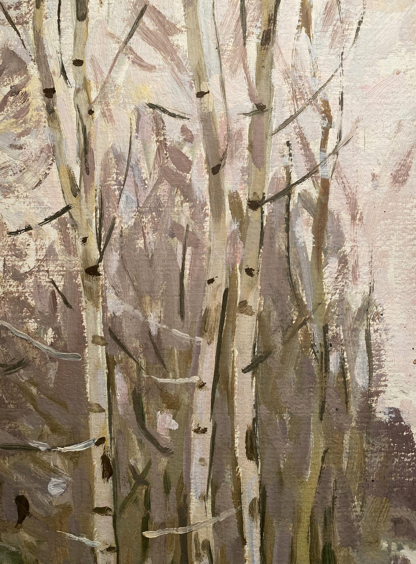Oil painting Three birch trees in the park Nikolai Bortnikov