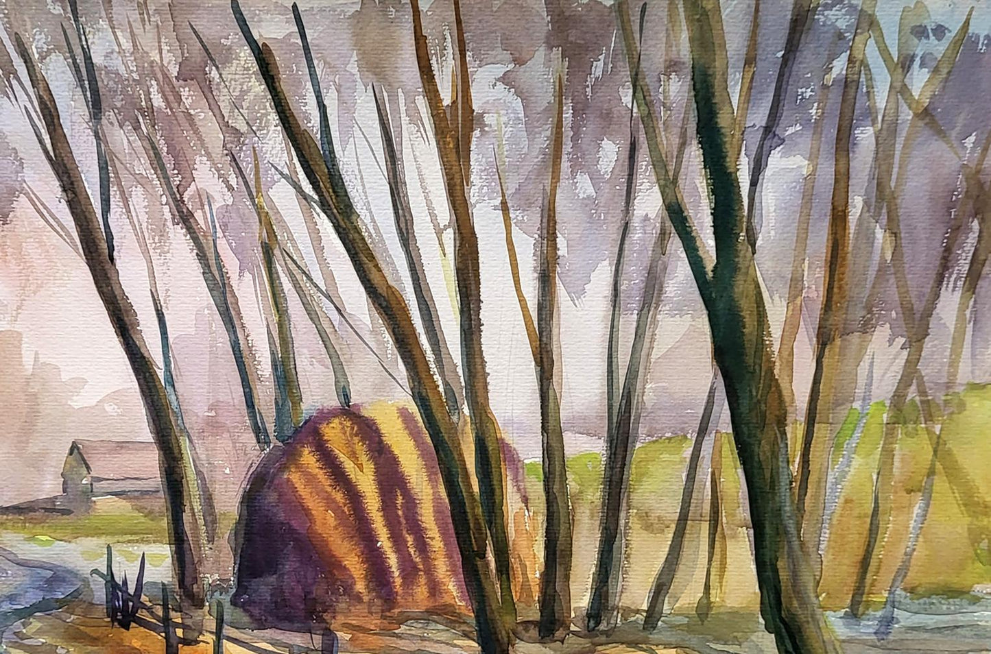 Nature Landscape