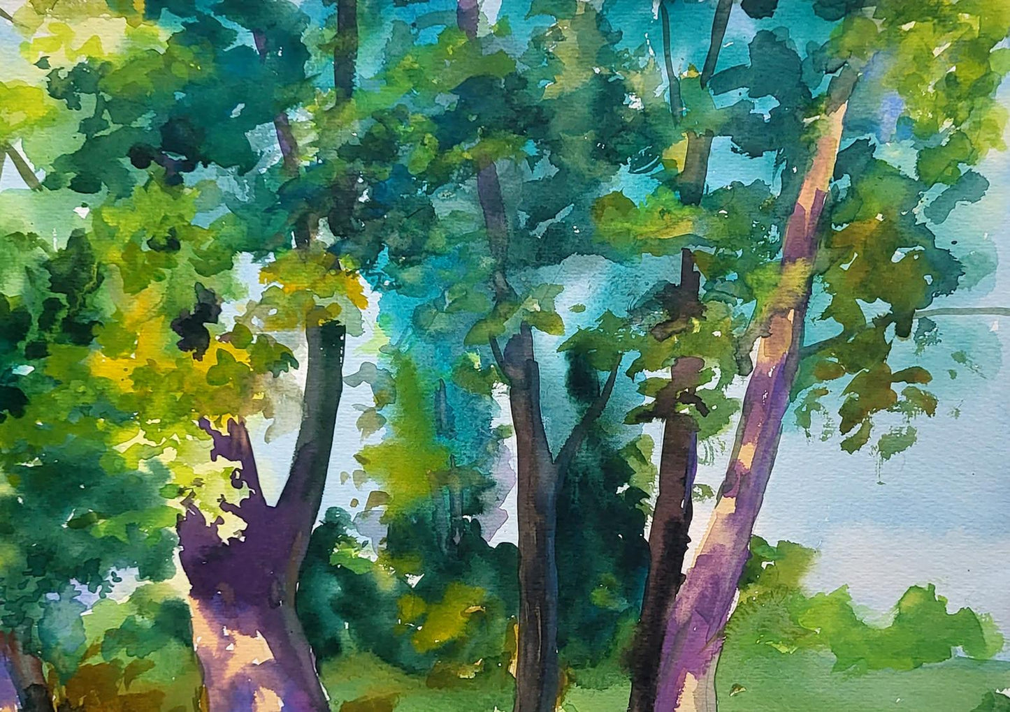 Nature Landscape
