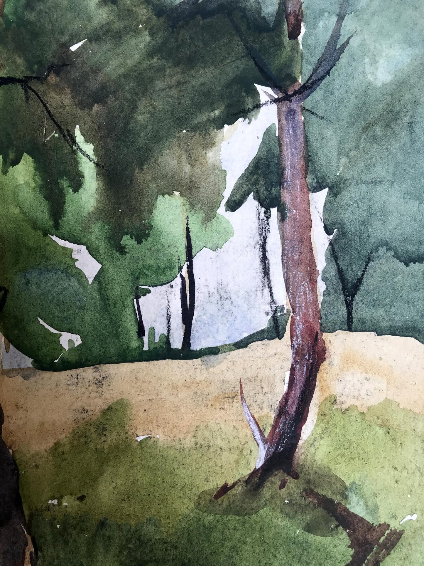 Watercolor painting Rest in the woods Unknown artist
