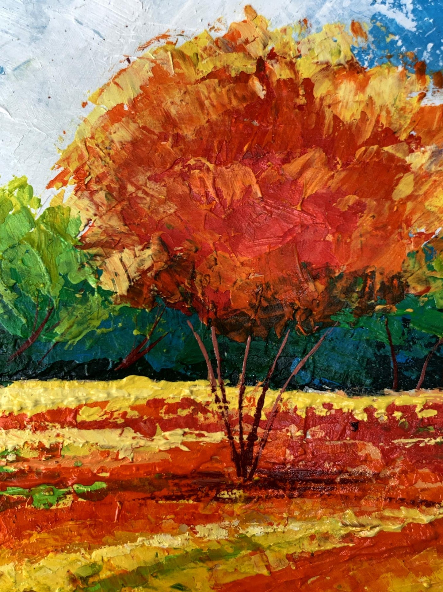 Oil painting Orange tree V. Zadorozhnya