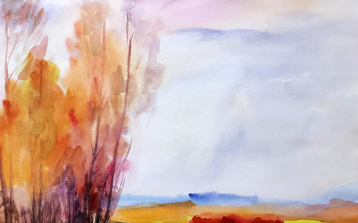 Nature Landscape