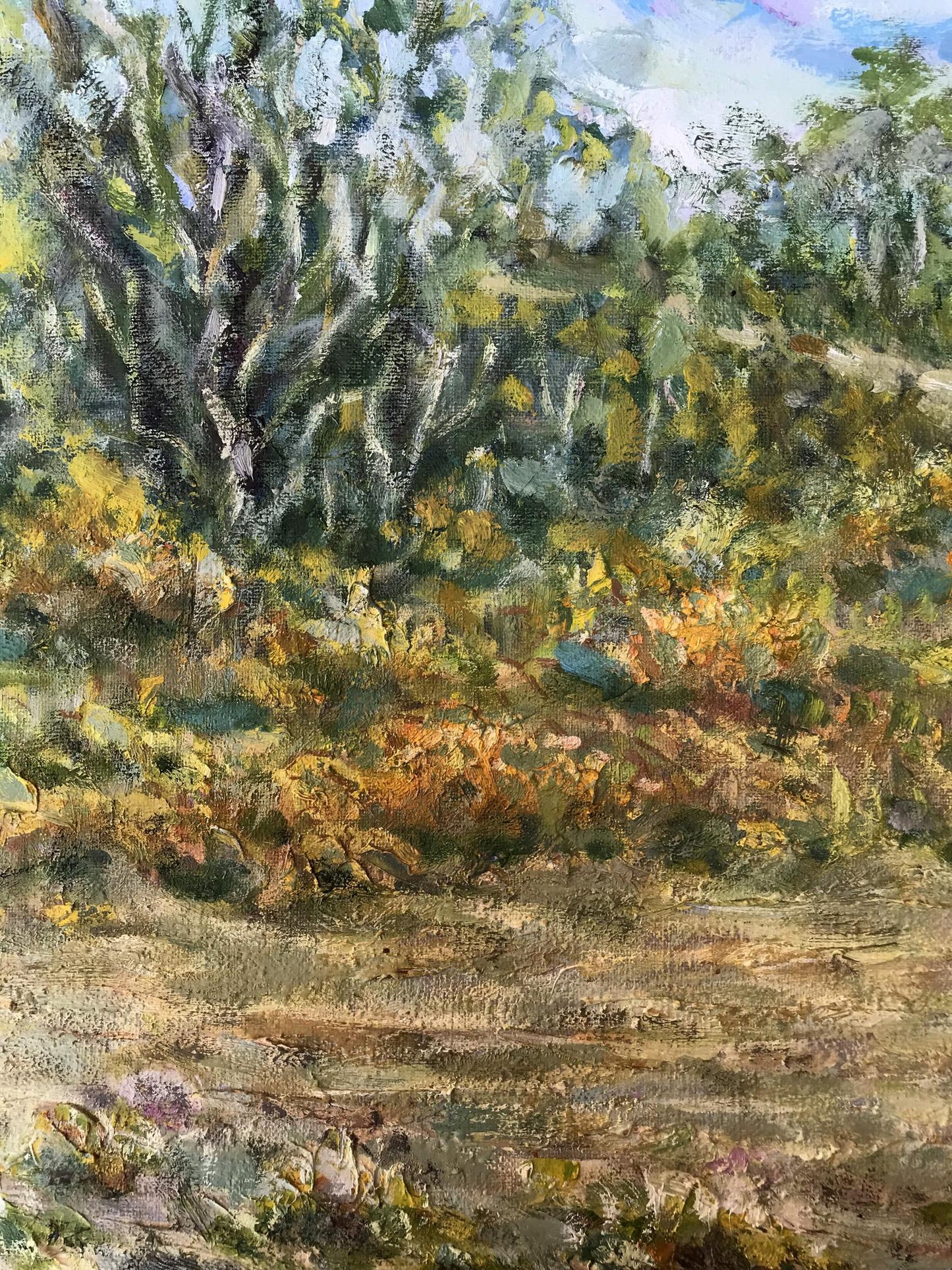 Rural landscape