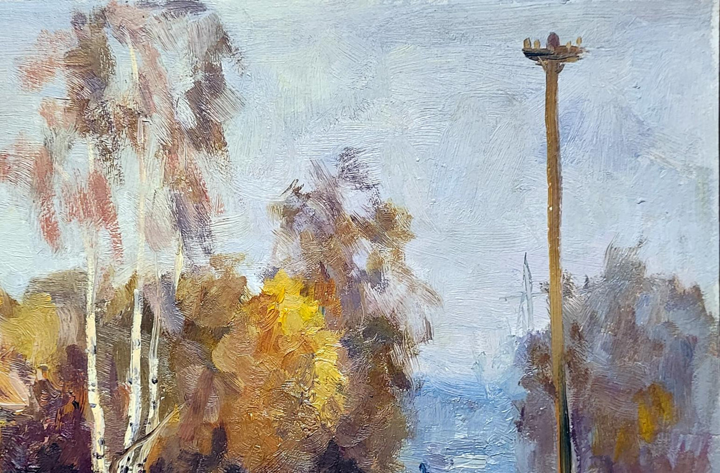 Nature Landscape