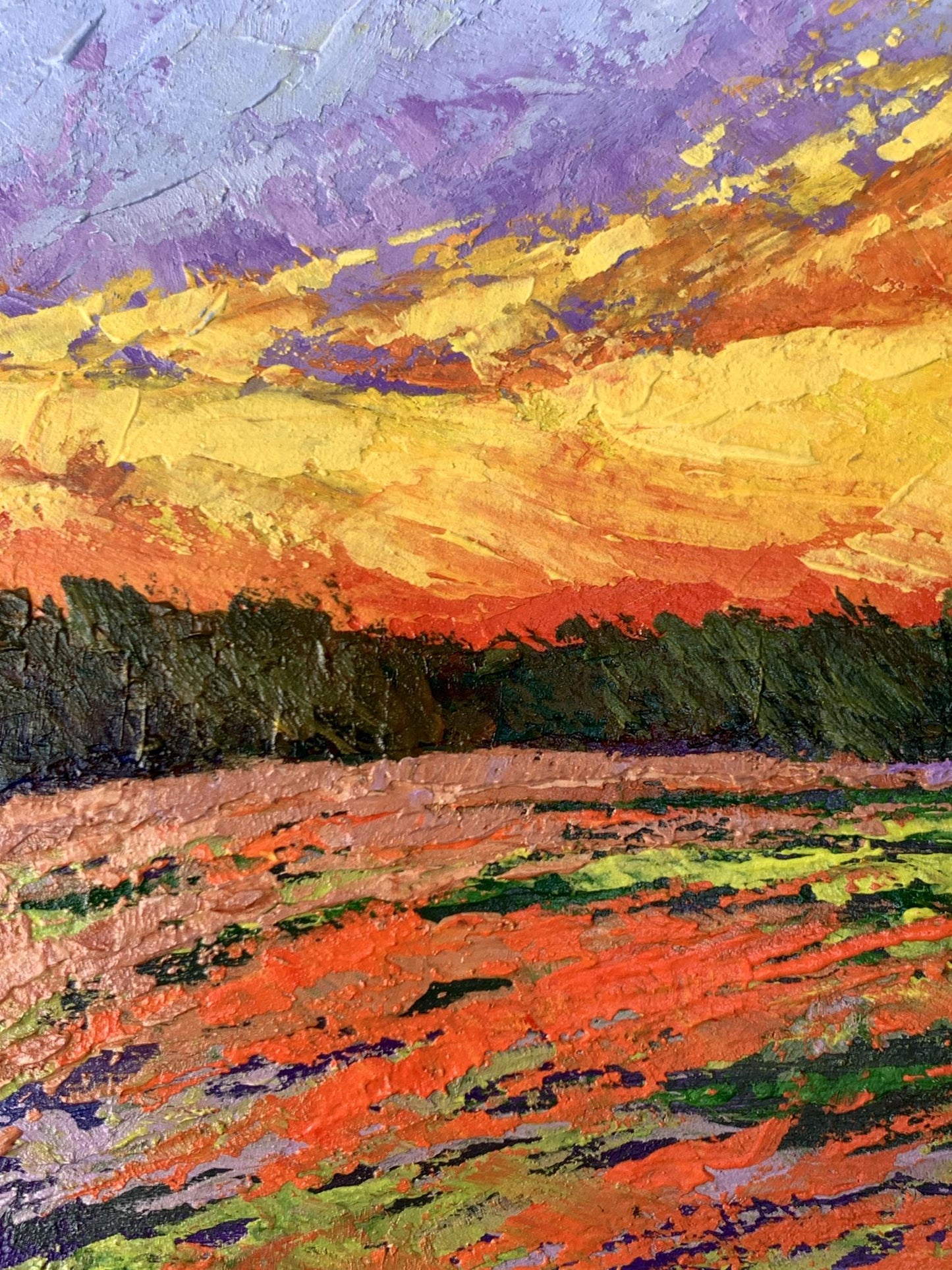 Oil painting Watching the sunset in the field V. Zadorozhnya