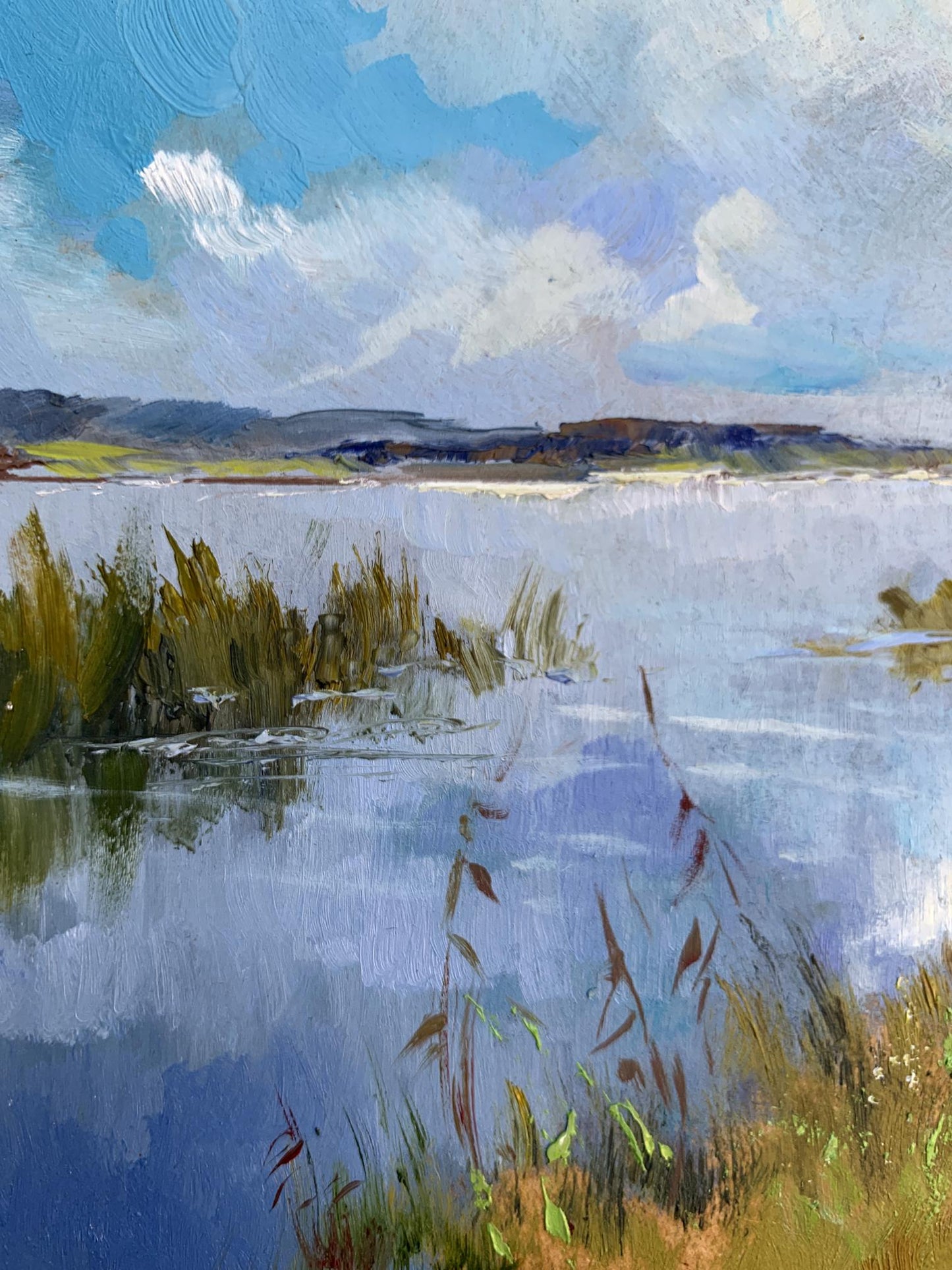 OIl painting Enjoying nature Yuriy Suprunchuk