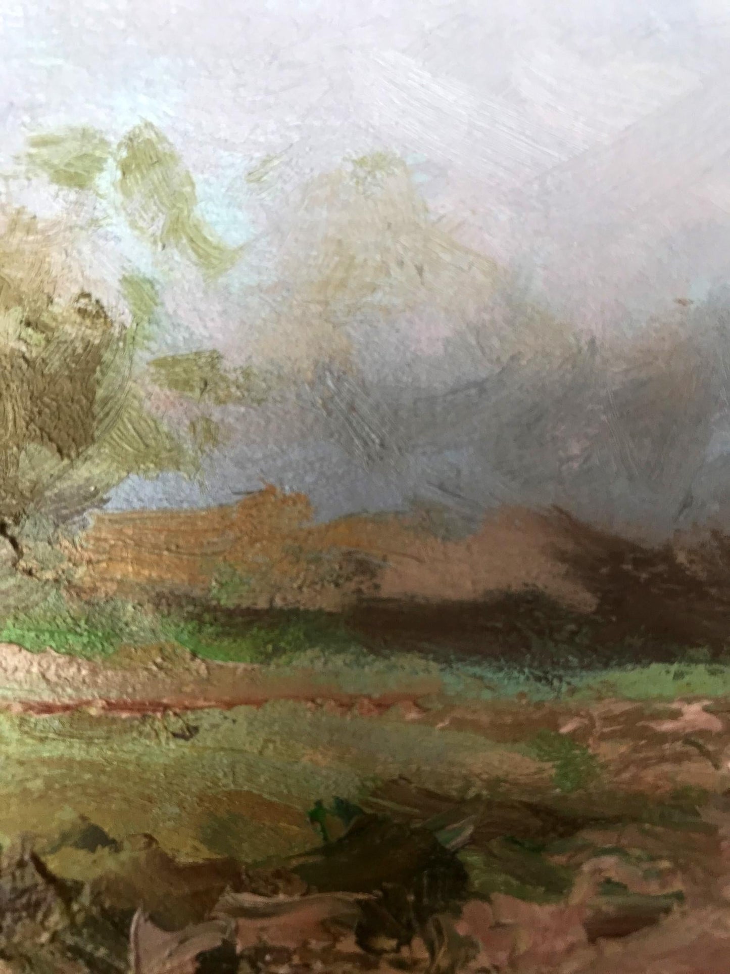 Summer Forest